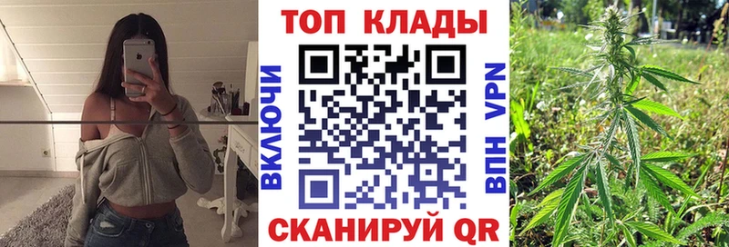 APVP Дзержинск