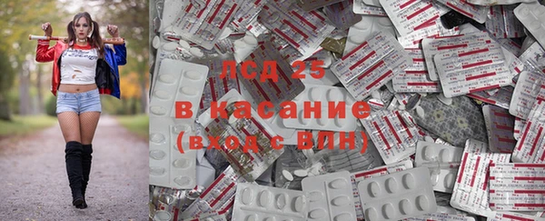 кокс Алзамай