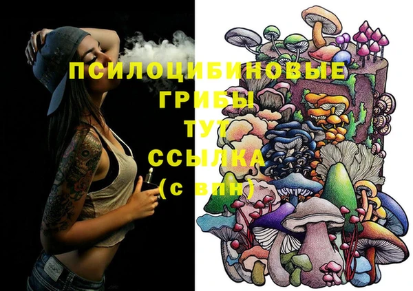 2c-b Алексин