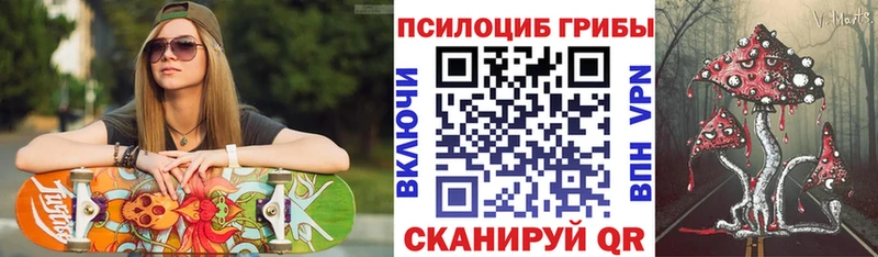 Галлюциногенные грибы прущие грибы  купить   мега маркетплейс  Дзержинск 